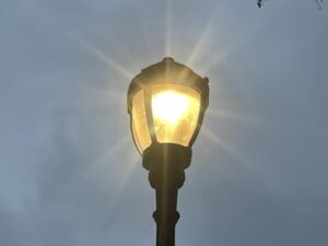 Notice What’s Around You: Day 14