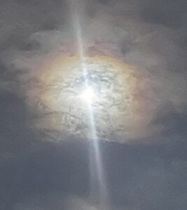 Notice What’s Around You: Day 6