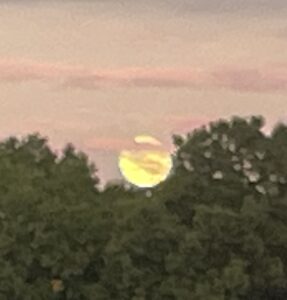 Notice What’s Around You: Day 7