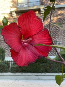 Notice What’s Around You: Day 9